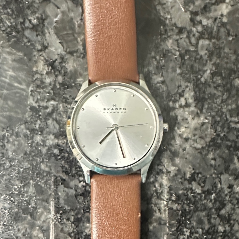 Skagen Silver Dial Watch with Brown Leather Band
